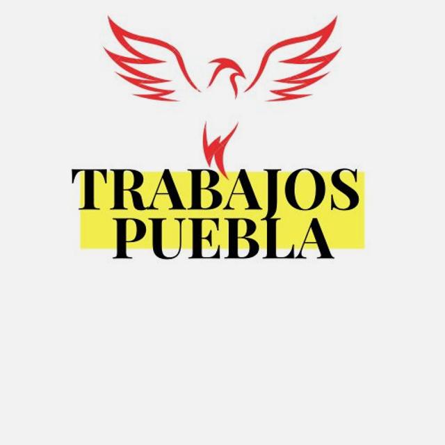 Capturista de datos
