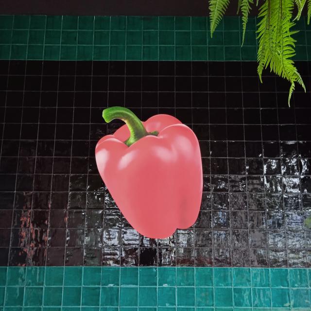 Cocinero/a
