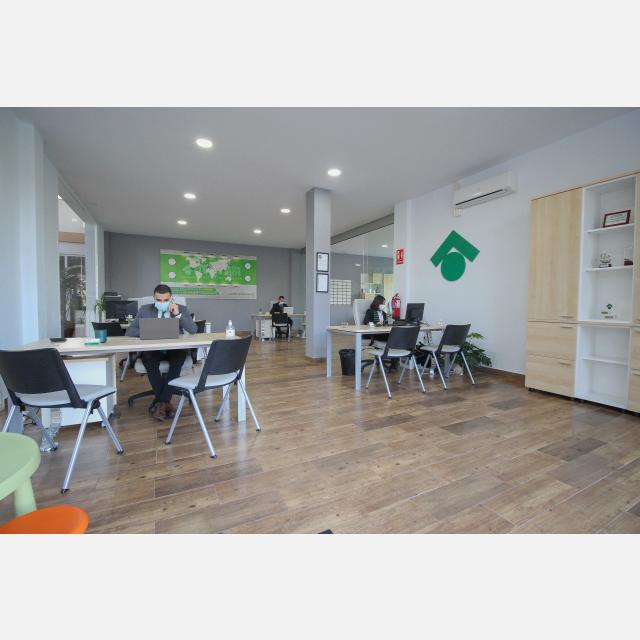 Asesor/a Inmobiliario
