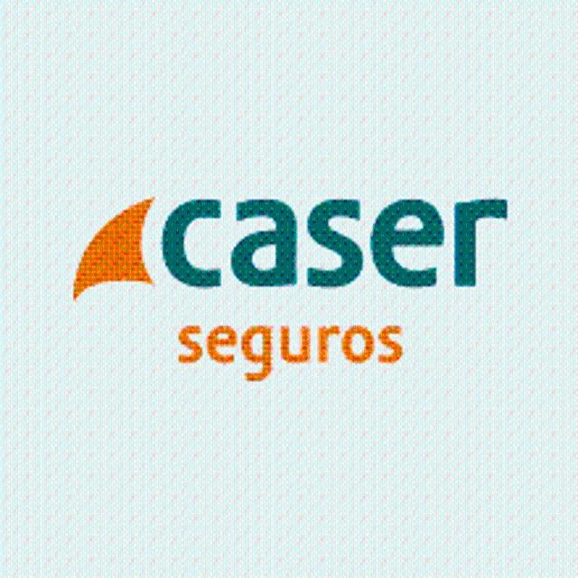 Asesor/a Comercial
