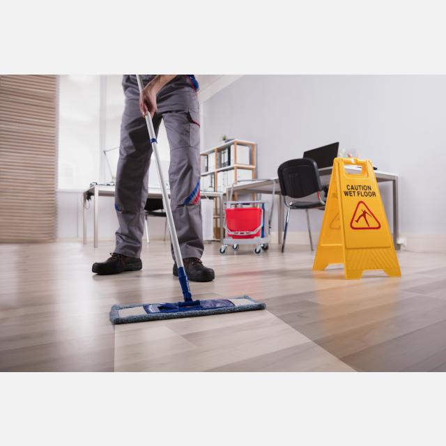 Cleaner