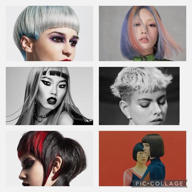 Modelo para corte y color 150€