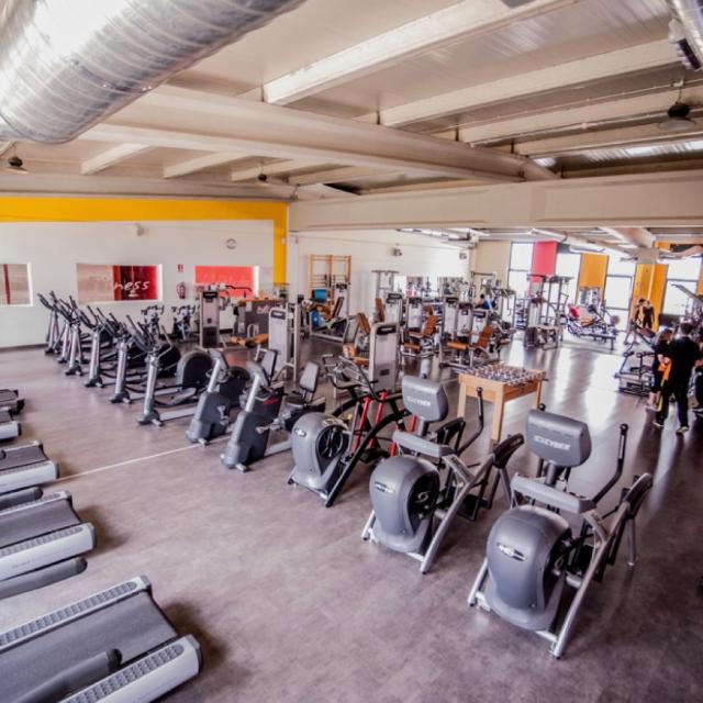 Técnico Polivalente (Sala Fitness + Colectivas)