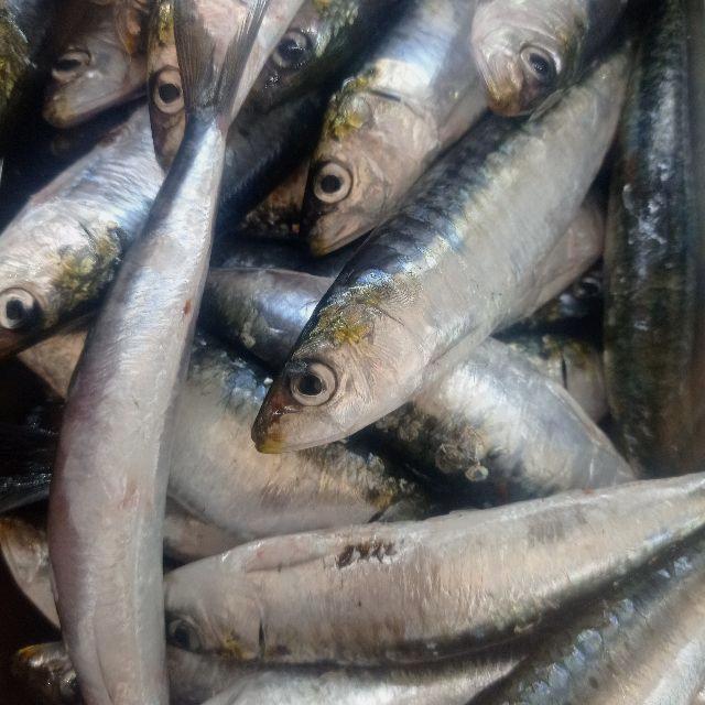 Ayudante/a de Cocina