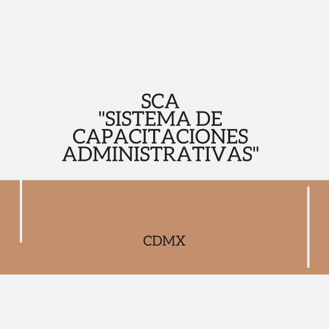 Auxiliar Administrativo/a