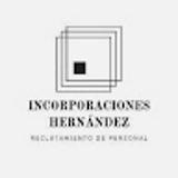 Lizbeth Hernández avatar icon
