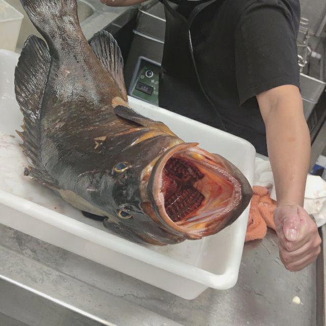 Cocinero/a