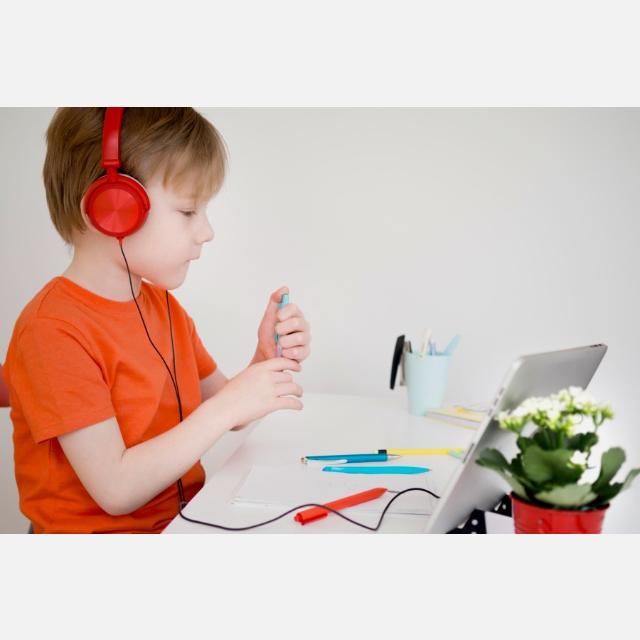Profesor/a particular de refuerzo escolar online