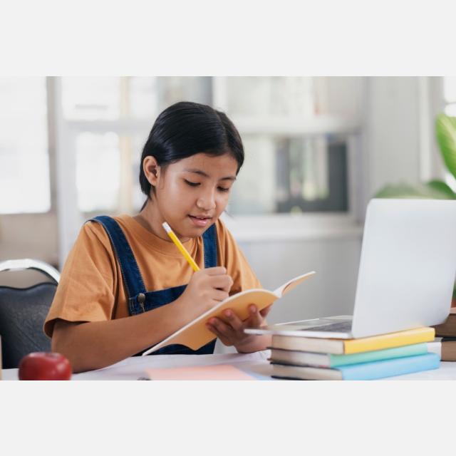 Profesor/a Particular para Clases Online