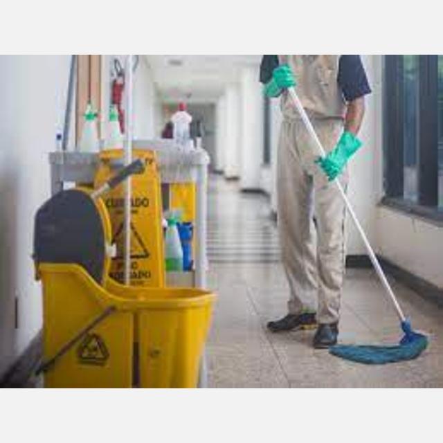 Cleaner