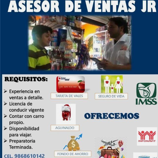 Asesor/a de Ventas