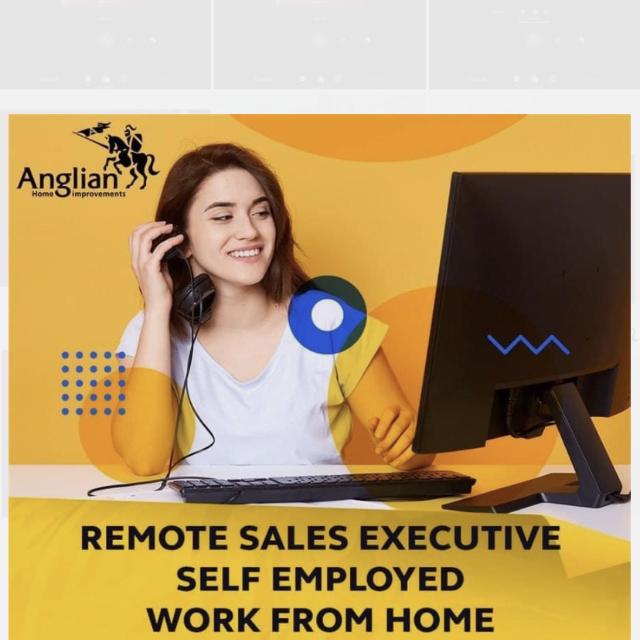 Sales Consultant