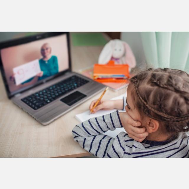 Profesor/a particular Online de Apoyo Escolar