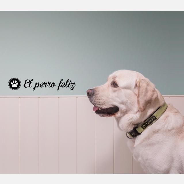 Cuidador de animales de compañía