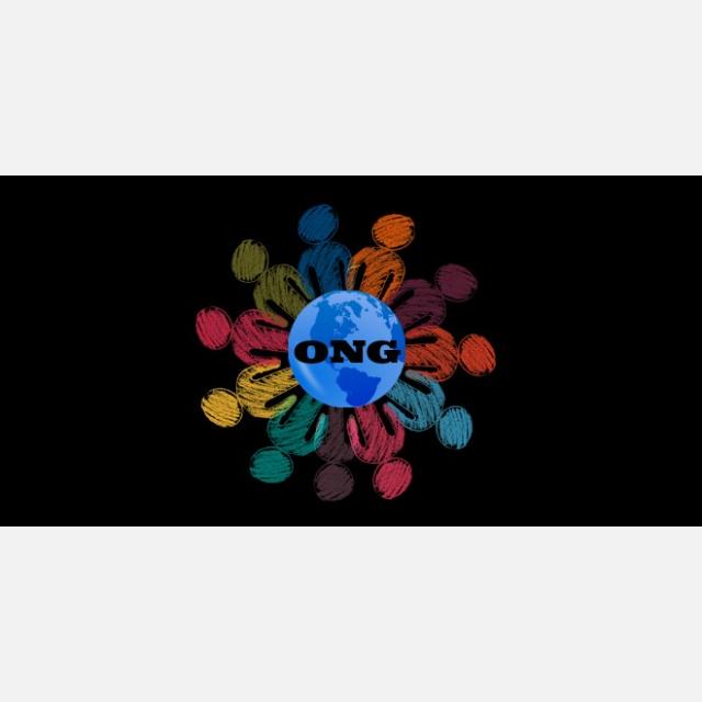 JEFE EQUIPO ONG'S