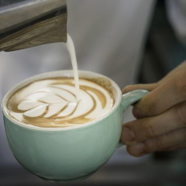 Barista