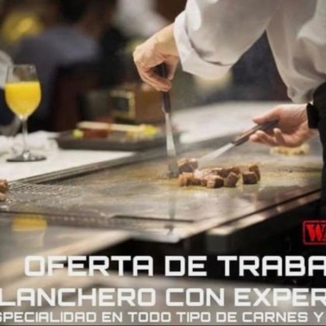 Cocinero/a Planchista