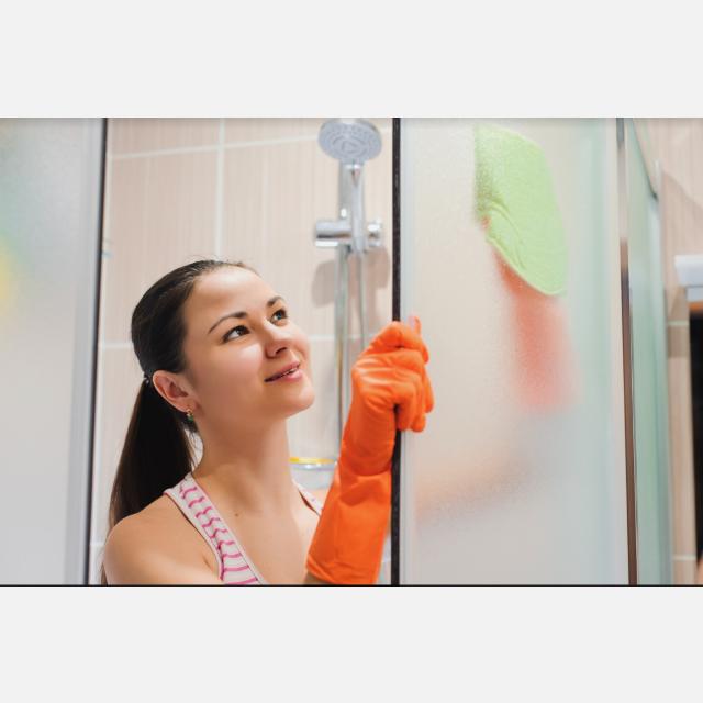 Domestic Cleaner