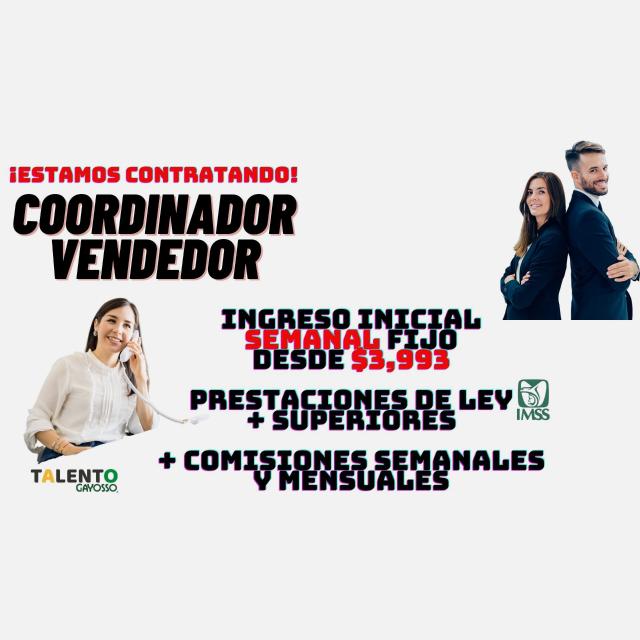 Supervisor de Ventas