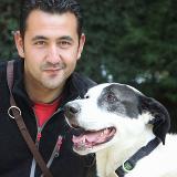 Luismi Laguna avatar icon