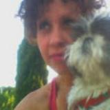 Julia Freire avatar icon