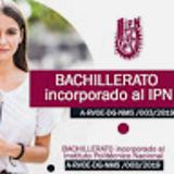 Patricia Saucedo avatar icon