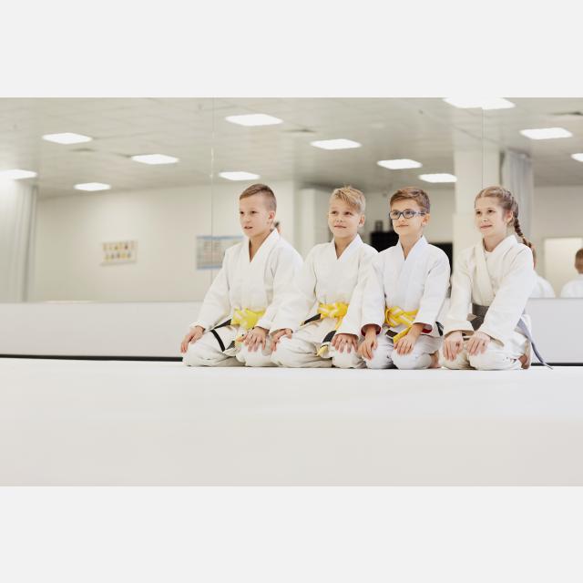 Profesor/a de Karate