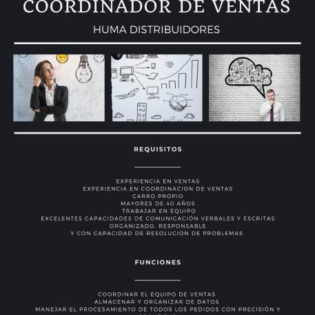 Asesor/a de Ventas