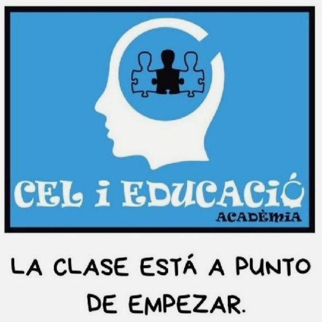 Profesor/a de Matemáticas, Física y Química