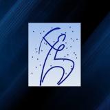 Kìron Sant Martí avatar icon