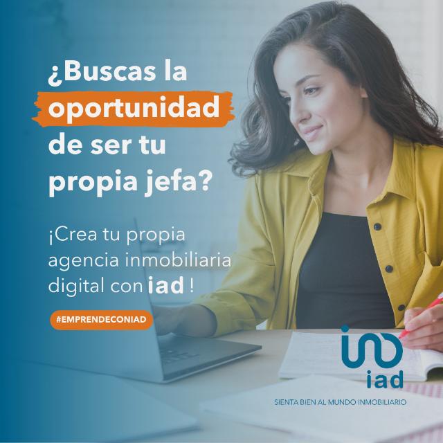 Agente Inmobiliario