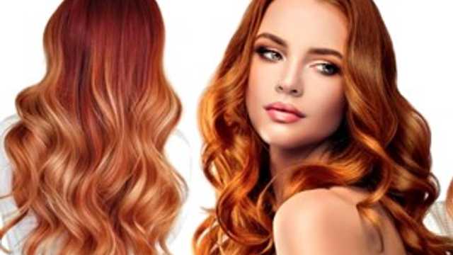 Modelo de Peluquería