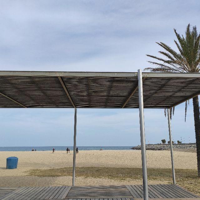 Camarero/a de Sala/Terraza