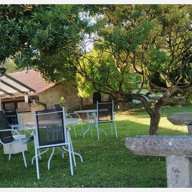 Camarero/a de Sala/Terraza