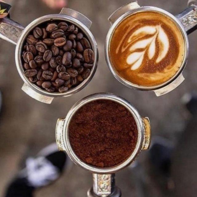Barista