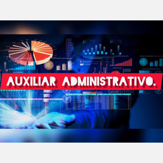 Auxiliar Administrativo/a
