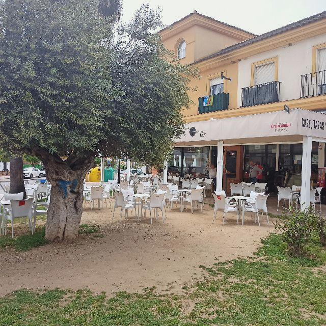 Camarero/a de Sala/Terraza