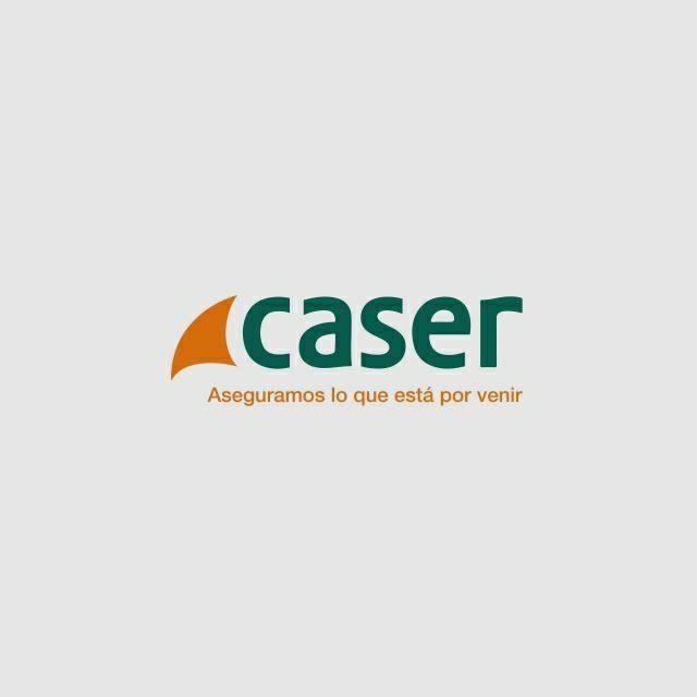 Agente Comercial