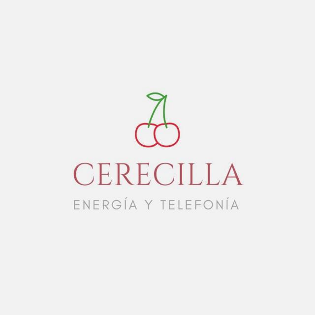 TELEOPERADOR/A