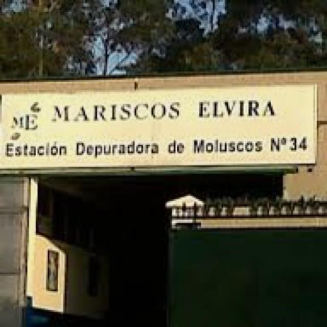 Ayudante/a de Mozo