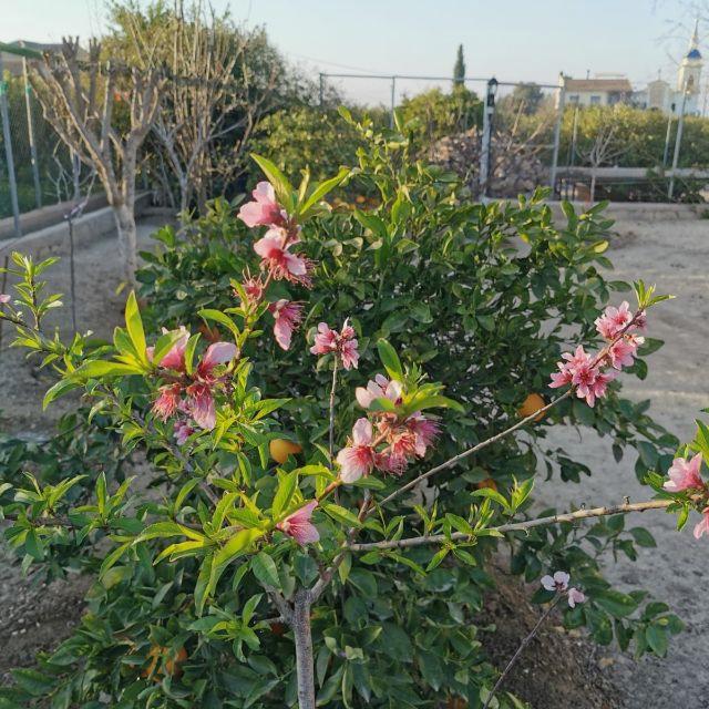 Jardinero/a