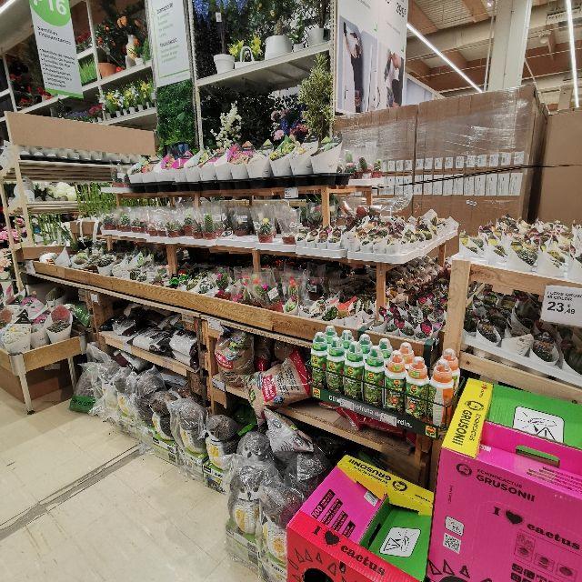 Dependiente/a de Tienda