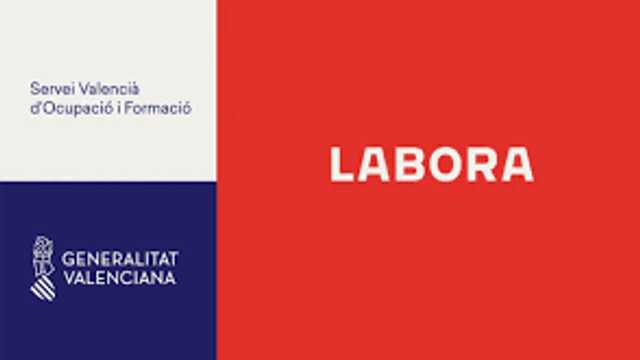 Profesor/a Acreditado Cursos LABORA
