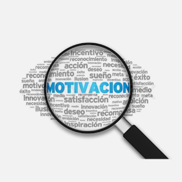 Mediador de Seguros