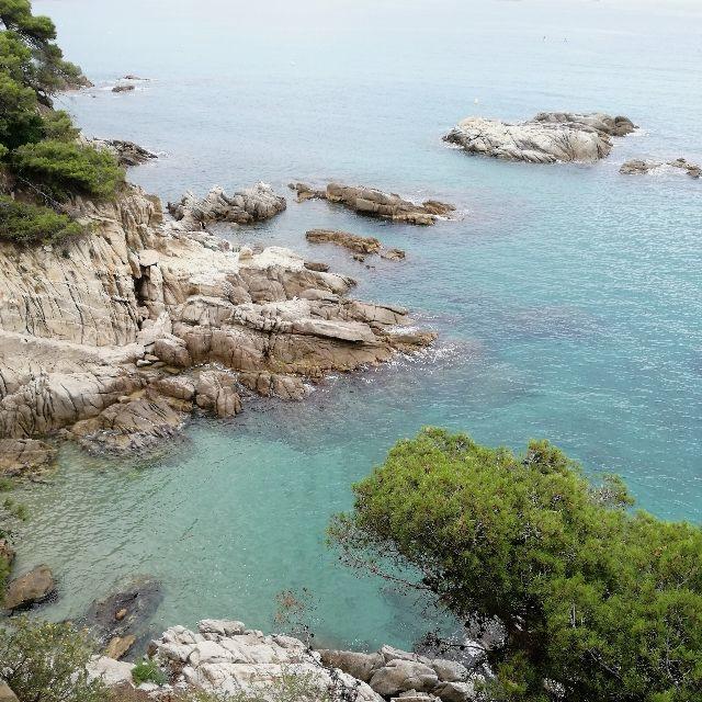 Pizzero/a para COSTA BRAVA
