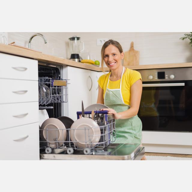 Domestic Cleaner