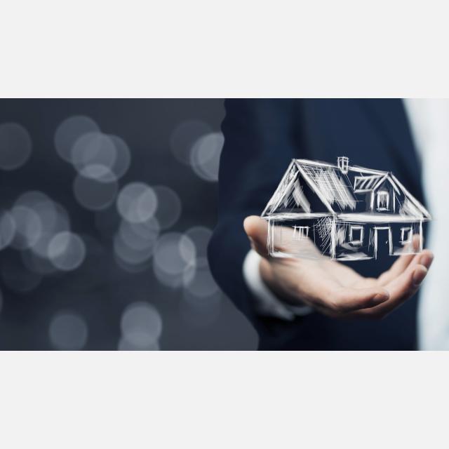 Agente Inmobiliario