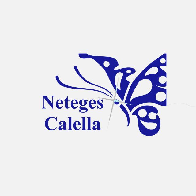 Empleado/a del Hogar