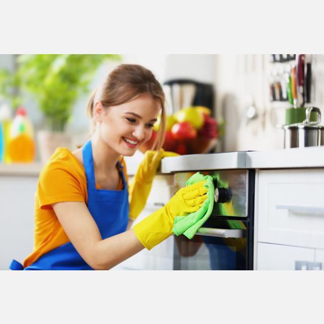 Domestic Cleaner
