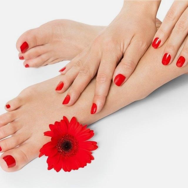 Asesora de Belleza